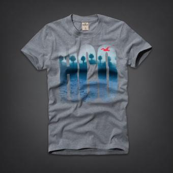 【L サイズ】ホリスター 半袖 グラフィック Tシャツ　グレー　Avalon Place T-Shirt アメカジ インポート 正規品保証付 最新作直輸入